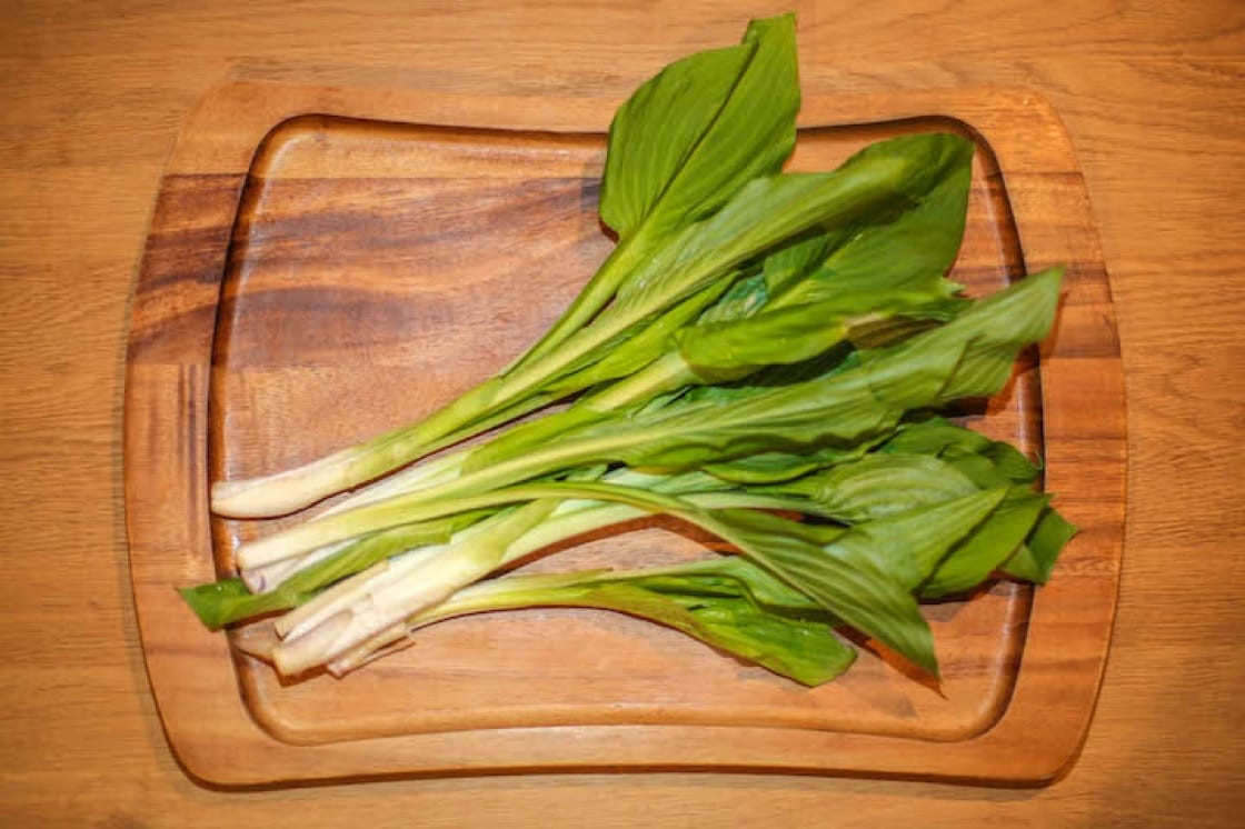 食材库:日本山菜